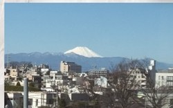 プレミスト代沢 303号室 写真4